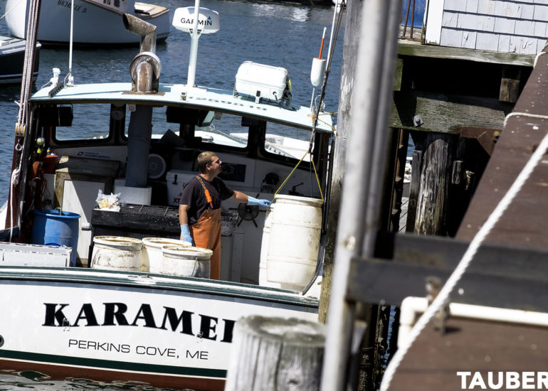Eric Taubert - Maine Portfolio
