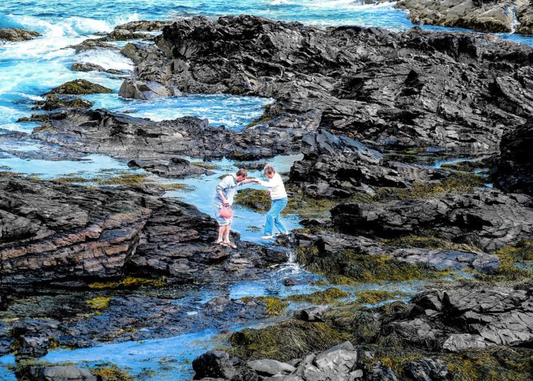 Eric Taubert - Maine Portfolio